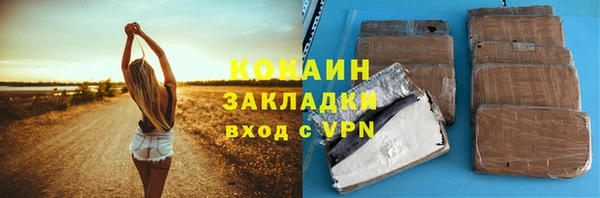 шишки Волоколамск
