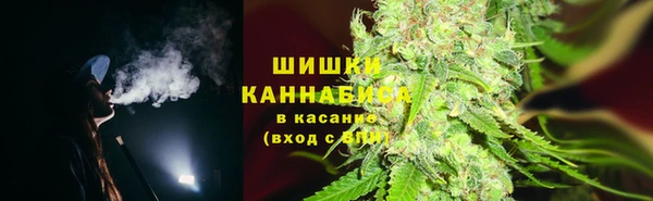spice Верея