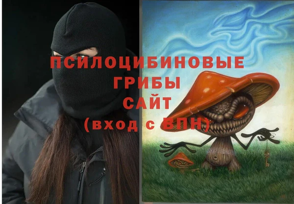 spice Верея