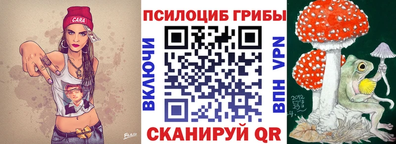 Псилоцибиновые грибы Psilocybine cubensis  OMG маркетплейс  Дедовск 